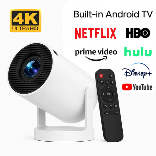 ProVision Mini Projector